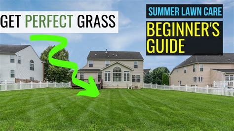 Easy Steps Summer Lawn Care For Beginners Get Perfect Grass Youtube