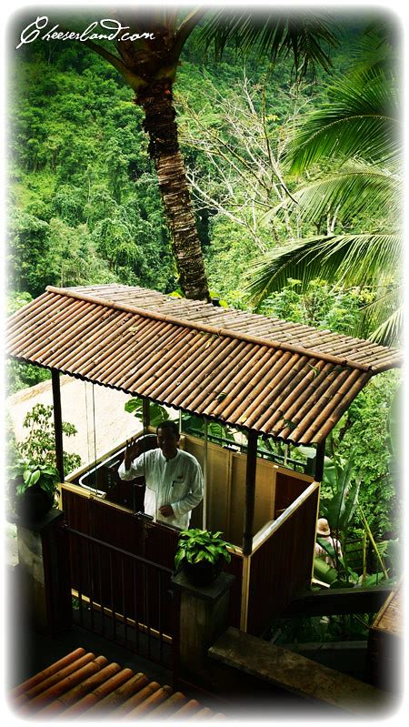 Ubud Hanging Gardens | Cheeserland