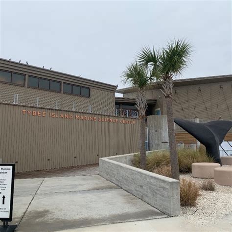 Tybee Island Marine Science Center Photos
