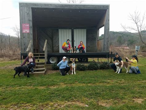 Adventure Club - Positive Partners Dog Training, LLC