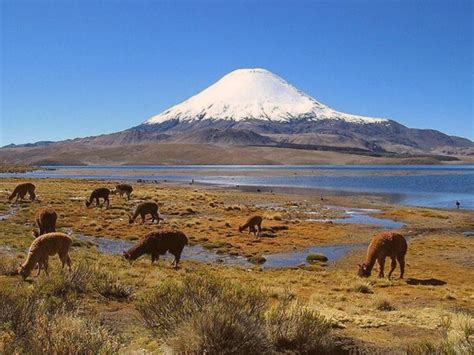 Parques Nacionales del Norte de Chile.