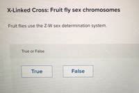 Answered X Linked Cross Fruit Fly Sex Chromosomes Fruit Flies Use The Z W Sex Determination