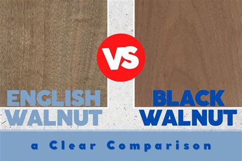 English Walnut Vs Black Walnut Wood A Clear Comparison