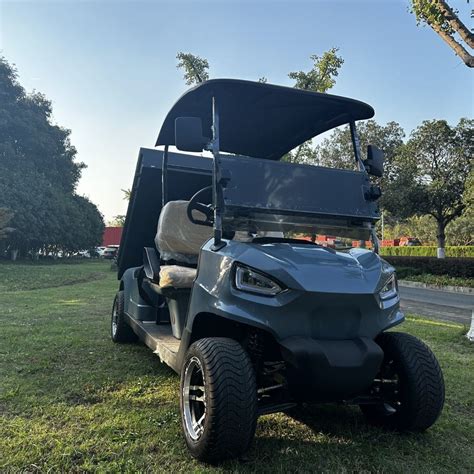 Wintao New Model 2 Seaters Electric Golf Cart With Cargo Box China