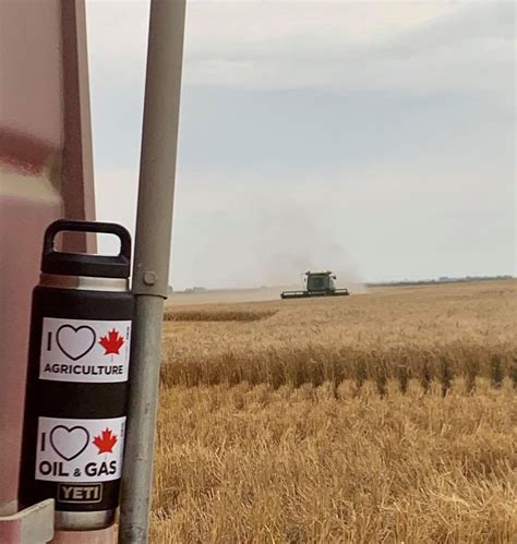 Farming In Saskatchewan 20 Facts And Statistics Canada Action