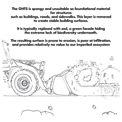 Soil Prep Guide – Bona Terra
