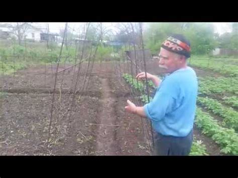 Подставка под помидоры - YouTube