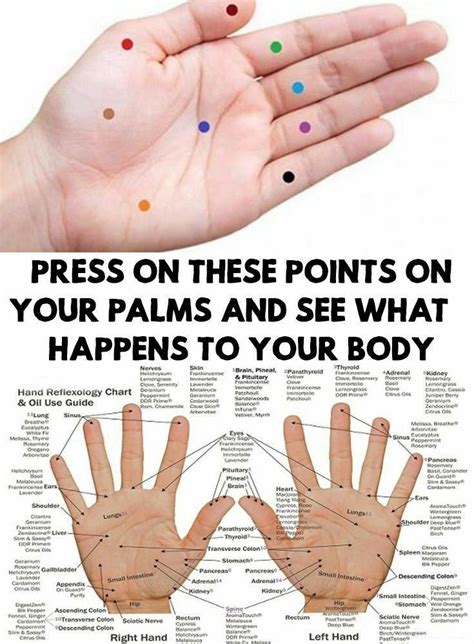 Pin By Doris Montanez On Health Reflexology Reflexology Chart Hand