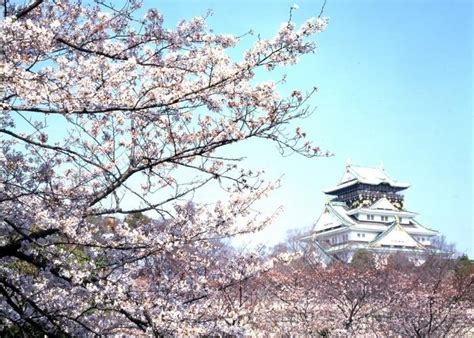 Where to See Cherry Blossoms in Osaka