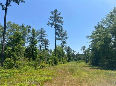 Guyton Effingham County Ga Recreational Property Hunting Property