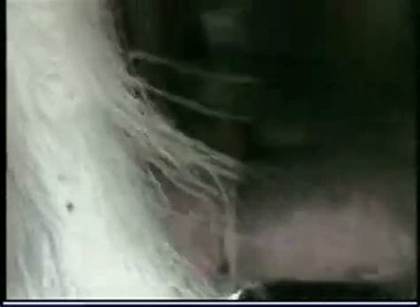 Xxx Gay Men Fucking Goats Movies Vnopec