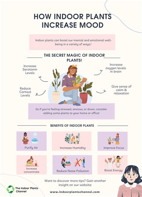The Science Behind Indoor Plants And Mood