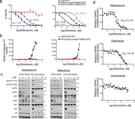 A drug discovery platform to identify compounds that inhibit EGFR