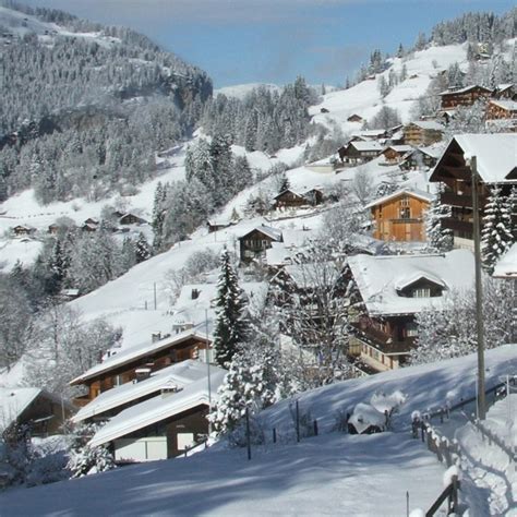 O Que Fazer Em Wengen Su A Atualizado Visite O Mundo