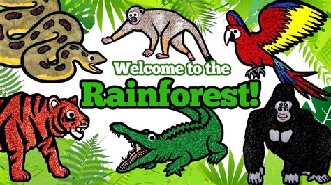 Rainforest Animals Names And Pictures Rainforest Animal