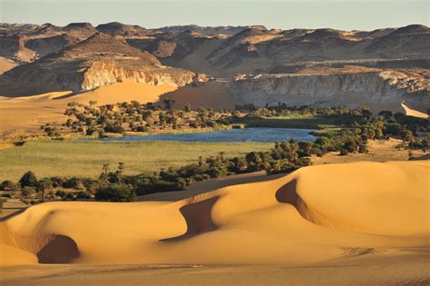 destination focus chad amadi