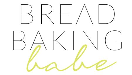 Tangy Lemon Babka Bread Baking Babe