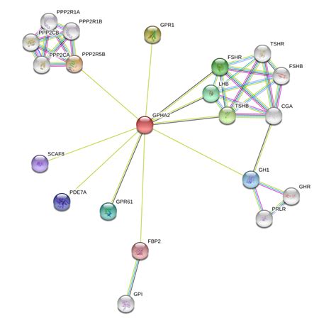 Gpha Protein Overview Sino Biological