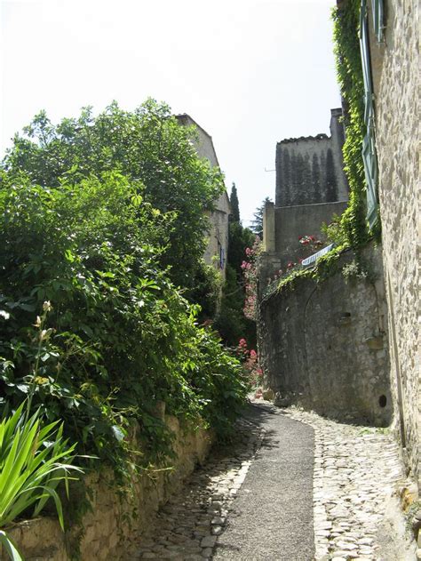 A Narrow Cobblestone Street With Trees And Bushes Lining Both Sides