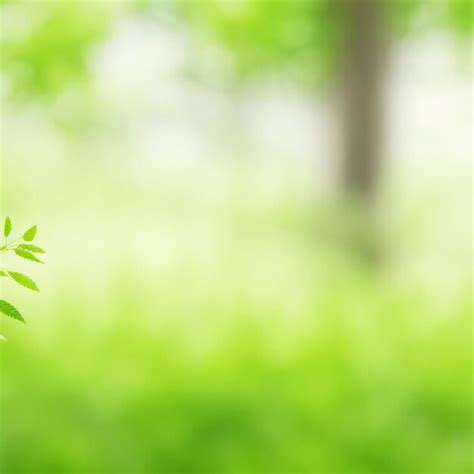 Premium Photo Green Natural Background Of Out Of Focus Forest