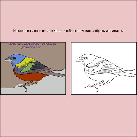 Раскраска картинок онлайн, Coloring pictures online