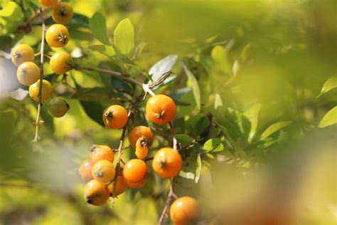 รูปภาพNarureza – เลือกดูภาพถ่ายสต็อก เวกเตอร์ และวิดีโอ6 | Adobe Stock