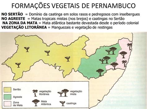 Bioma De Pernambuco - Mapas de Pernambuco | 4ano