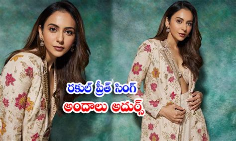 Actress Rakul Preet Singh Looks Is Too Hot And Romantic In This Poses