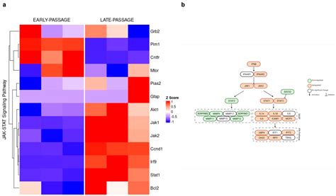 Biology Free Full Text Transcriptomics And Proteomics Analyses