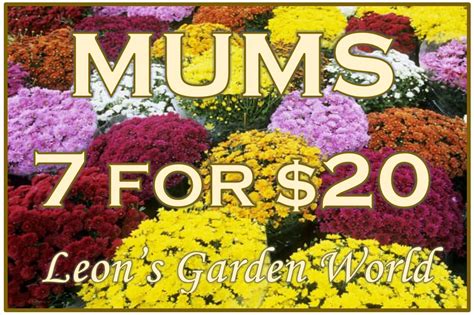 Leons Garden World Of Delaware Home Facebook