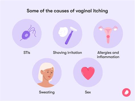 Reasons Why Your Vagina Could Be Itchy Inside Ask The Nurse Expert