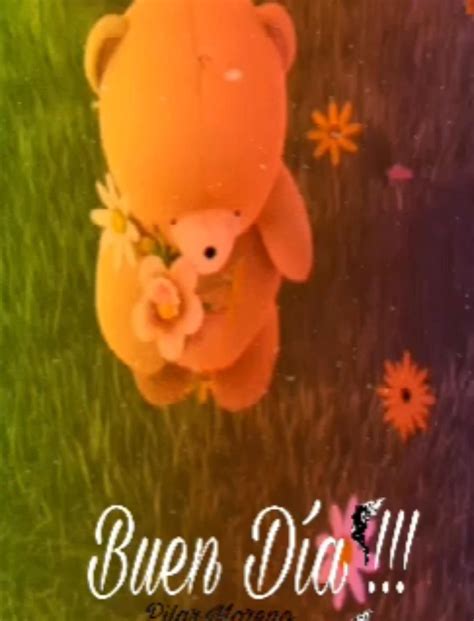 ideas de fotos animadas fotos animadas foto gif hermoso