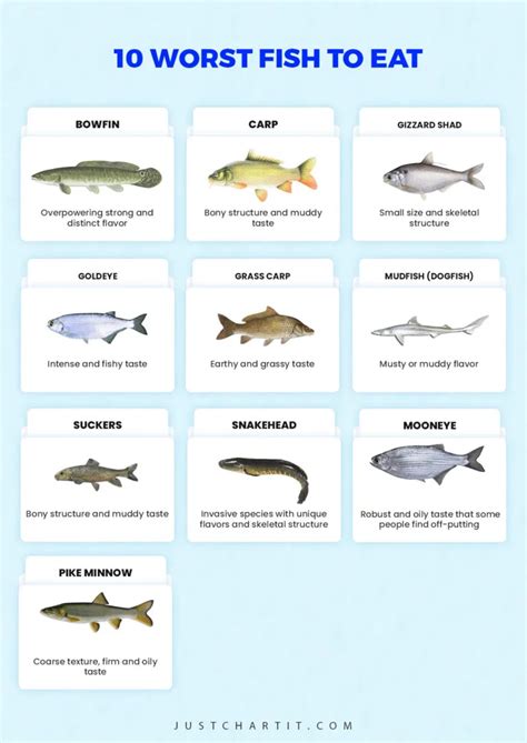 Fish Taste Chart: Best & Worst Fish Taste List