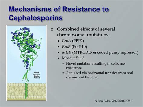 PPT Sex And The Superbug Next Steps In Dealing With Multi Drug Resistant Gonorrhea In