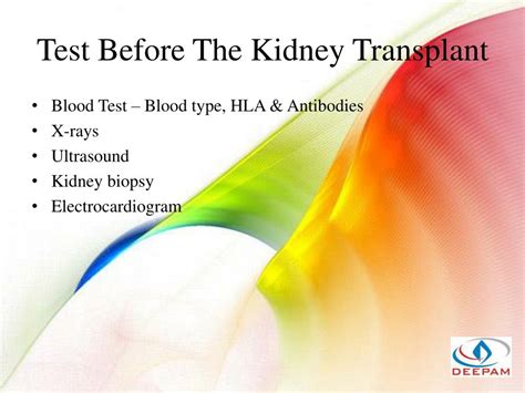 Ppt Kidney Transplant The Simplified Guide Powerpoint Presentation