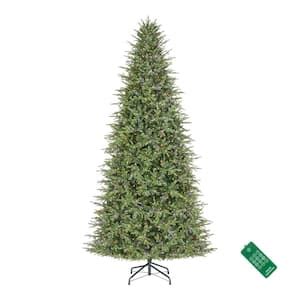 Grand Duchess Christmas Trees The Home Depot