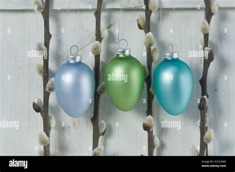 Easter Eggs With Pussy Willow Twig Hanging Stock Photo Alamy