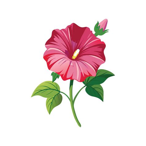 Elegant Hollyhock Flower Design with Bright Colors 57395532 Vector Art
