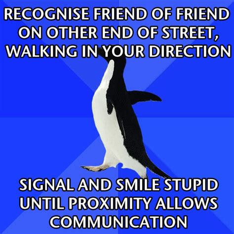 [Image - 2786] | Socially Awkward Penguin | Know Your Meme