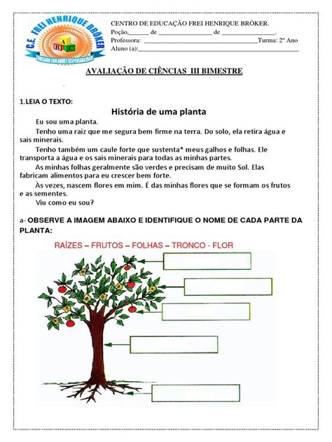 Avaliação Sobre As Plantas 2 Ano - Avaliação sobre Partes das Plantas 2º Ano | PDF | Raiz | Plantas | Agua ...