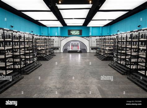 Squid Game The Challenge Bunk Beds Season 1 Aired Nov 22 2023