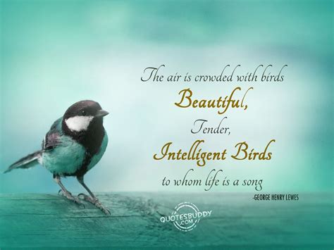 Beautiful Pictures Of Birds With Quotes - ShortQuotes.cc