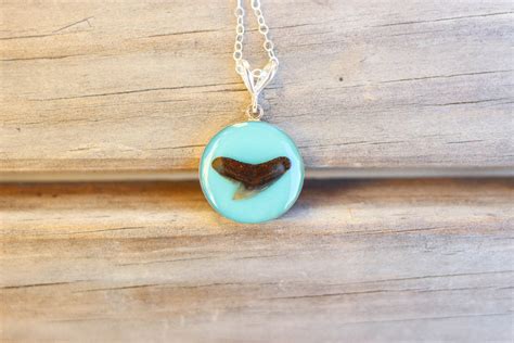 Shark Tooth Necklace Shark Tooth Jewelry Genuine Shark Tooth Caribbean ...