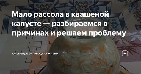 Мало рассола в квашеной капусте — разбираемся в причинах и решаем ...