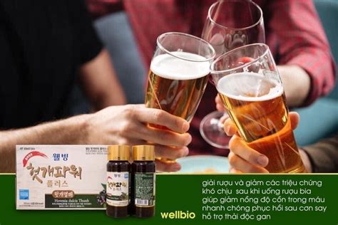 NƯỚc GiẢi RƯỢu BỔ Gan Wellbio HÀn QuỐc 100ml10 Chai Kangnam Mart