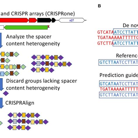 Composition Of AMR Gene Classes By Species A Large Proportion Of