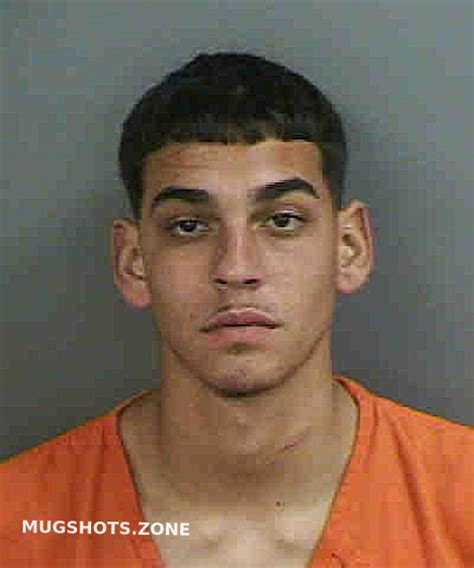 Socarres Gilberto Toro Collier County Mugshots Zone