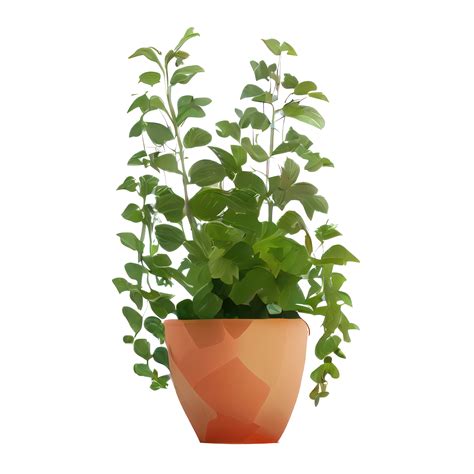 Beautiful plants in ceramic pots . 23357950 PNG