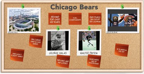Chicago Bears Realbookies