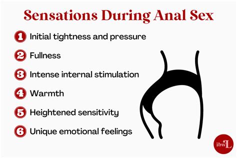 Ultimate Guide To Anal Sex For Beginners Tips Positions And More